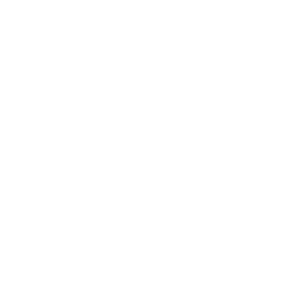 logo-v5-white